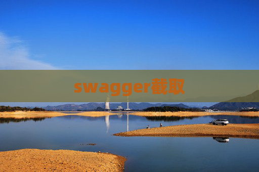 swagger截取